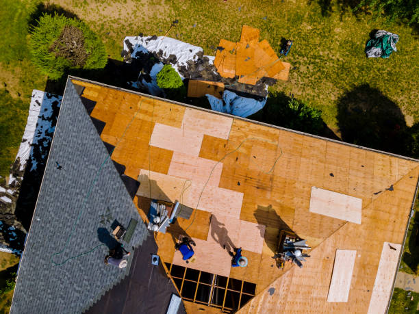 Best Affordable Roof Replacement  in Newnan, GA